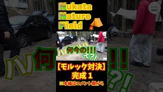 【 キャンプ場造り 】もはやNNF恒例！！最後に重大発表があります！見てね！お客さんとモルック対決！！ #shorts