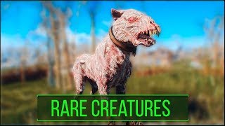 Fallout 4: 5 Rare and Interesting Creature Types You May Have Missed - Fallout 4 Secrets (Part 5)