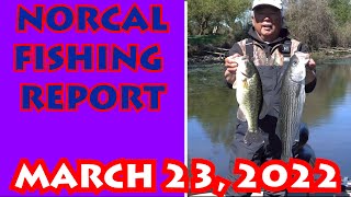 What's Biting? NORCAL WEEKLY FISHING REPORT | March 23, 2022