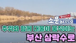 12편 부산삼락수로 포인트 둘러보기