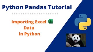 #2 How to Import Excel data in Python Pandas | Getting Excel Data in Python Pandas