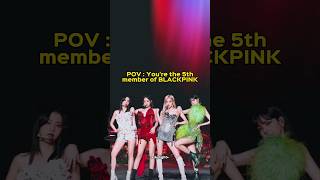 POV : You're the 5th member of BLACKPINK | •ѕкуℓιgнт•