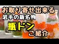 新　瓶ドン【岩手の新名物】お取り寄せご紹介！瓶ドンとは何？