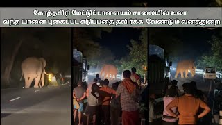 கோத்தகிரி - மேட்டுப்பாளையம் மலைச்சாலையில் உலா வந்த காட்டு யானை கவனத்துடன் இயக்க வேண்டும் வனத்துறை