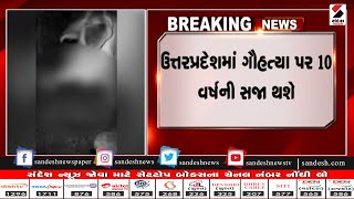 ગોવધ નિવારણ સંશોધન અધ્યાદેશ લાવશે UP સરકાર ॥ Sandesh News TV | Cyclone Tauktae