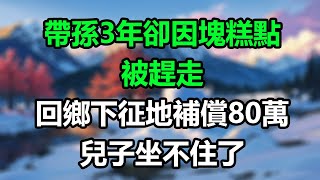 帶孫3年卻因塊糕點被趕走，回鄉下征地補償80萬，兒子坐不住了！#為人處事#生活經驗#情感故事