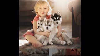 The most beautiful dogs!   Fluffy Husky Puppies Compilation
