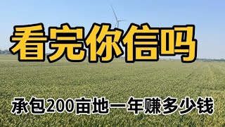 在农村承包200亩地，只种小麦和玉米，到底能赚多少钱？你别不信