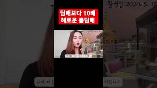 일반 담배의 10배 해로운 시샤