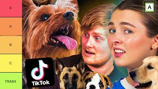 Vi ROASTER Hunder På Tik Tok!! 🔥🔥🔥 4ETG TIERLIST