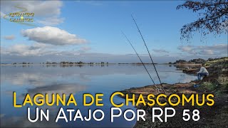 #46 - Laguna de Chascomús  - Un Atajo por RP 58