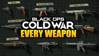 Every Weapon In Call of Duty Black Ops Cold War (All Guns Gameplay)