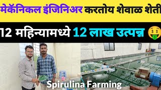 मेकॅनिकल इंजिनियर करतोय शेवाळ शेती 🤑😳 | Spirulina Farming Plan | 12 लाख वार्षिक उत्पन्न 💰