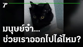 คุณชนะอยากเล่า : มนุษย์จ๋า...ช่วยเราออกไปได้ไหม? | 08-10-64 | ตะลอนข่าว