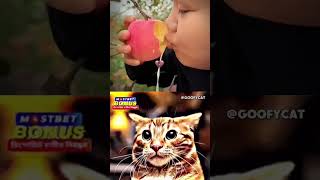 Juicy apple🥰 #mrbombastic #funnyvideo #funnycats