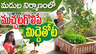 Mother, Daughter Love for Roof Garden || ముందస్తు ప్రణాళికతో మిద్దెతోట | Rajyalakshmi | Jammikunta