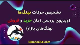 تشخیص حرکت نهنگ ها (ویدیوی بررسی زمان خرید و فروش)