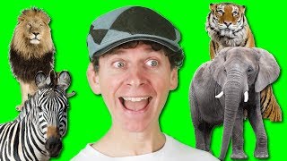 Animal Names Song with Matt | Wild Animals For Children, Learn English Kids