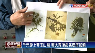 千元鈔上不是玉山薊 興大教授發現新物種－民視新聞