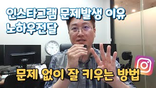 노하우전달 /인스타그램 계정에 문제발생 이유, 문제 없이 잘 키우는 방법