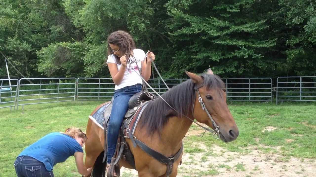 Horse Riding Youtube