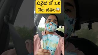 కువైట్ లో మా Husband ఒక నెల జీతం: #kuwaitteluguvlogs #teluguvlogs #indiansinkuwait #kuwaitvlog #vlog