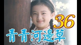 『青青河邊草』 第36集(馬景濤、岳翎、劉雪華、徐乃麟、金銘) #跟我一起 #宅在家