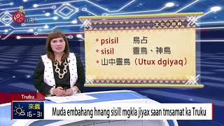 特殊叫聲辨吉凶!太魯閣族靈鳥\