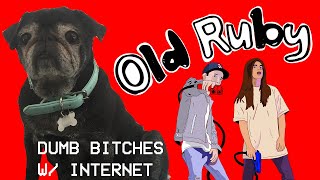 Dumb Bitches W/ Internet - Old Ruby (Official Video)