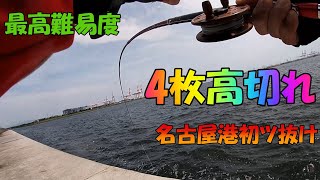 クロダイ落とし込み名古屋港2022.7.20　Japan black sea bream fishing　上げ潮僅か2枚下げ潮13枚GET。ハリス1.5号3本高切れで2号にしたら2.5号の道糸が飛んだ