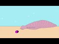 EARLY PALEOZOIC LIFE SONG