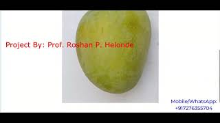 Mango Fruit Disease Detection Using Image Processing | With Source Code | Python Project Code