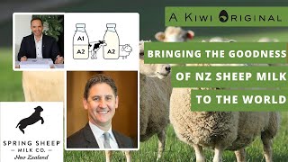 A Kiwi Original - Scottie Chapman | Spring Sheep 049