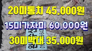 2/26일 20미통치 엄청 싱싱합니다! 구이 지리탕으로 맛있습니다. 15미가자미 30미박대 가져왔습니다