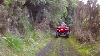 NZ Quad Ride Motu River Hunt 230520