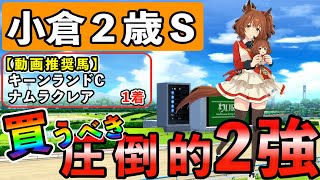 【小倉2歳ステークス2023】買うべき！圧倒的２強！１０年データ徹底分析