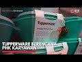 Tupperware Berencana PHK Karyawan | IDX CHANNEL