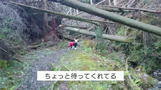 大文字山を山科から