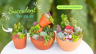 13 Succulent DIY Ideas - 13 Ý tưởng trang trí sen đá | 多肉植物 | Suculentas | 다육이들