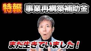 【事業再構築補助金】第13回公募開始！「新事業進出補助金」とどちらを選ぶべき?