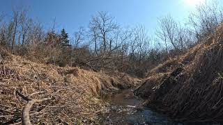 Relaxing nature sounds - Spring thaw