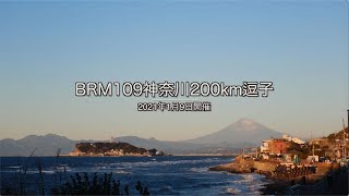 【ブルベ】BRM109神奈川200km逗子（2021年1月9日）