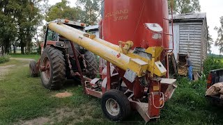 How we make the cow feed grinding ear corn into high quality cattle feed IH 1486 and New Holland 354