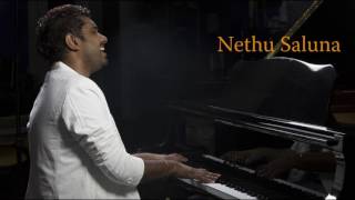 Nethu Saluna