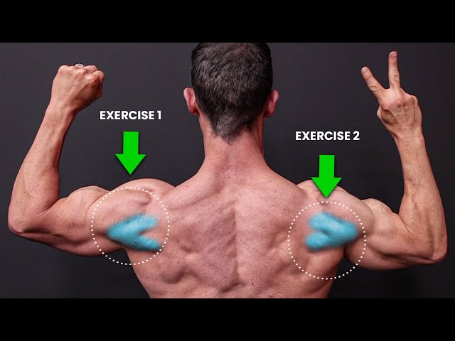 Rear Deltoid Circle