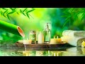 Relaxing Sleep Music + Insomnia: Bamboo, Stress Relief, Deep Sleep, Relax & Therapy Music