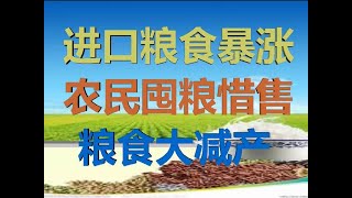 财经冷眼：进口粮价暴涨，灾后农民囤粮惜售，中国粮食大减产后粮荒！（20200616第261期）