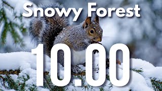 ⏳ 10 Minute Classroom Calm Down Timer | Snow & Forest Ambience ❄️
