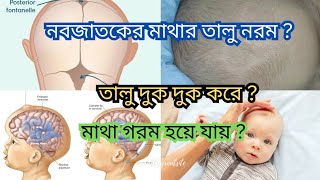 Soft spot on Newborn baby head / নবজাতকের মাথার তালু নরম কেনো ?