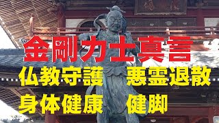 金剛力士真言(こんごうりきししんごん)仏教守護　　身体健全　　健脚　　悪霊退散